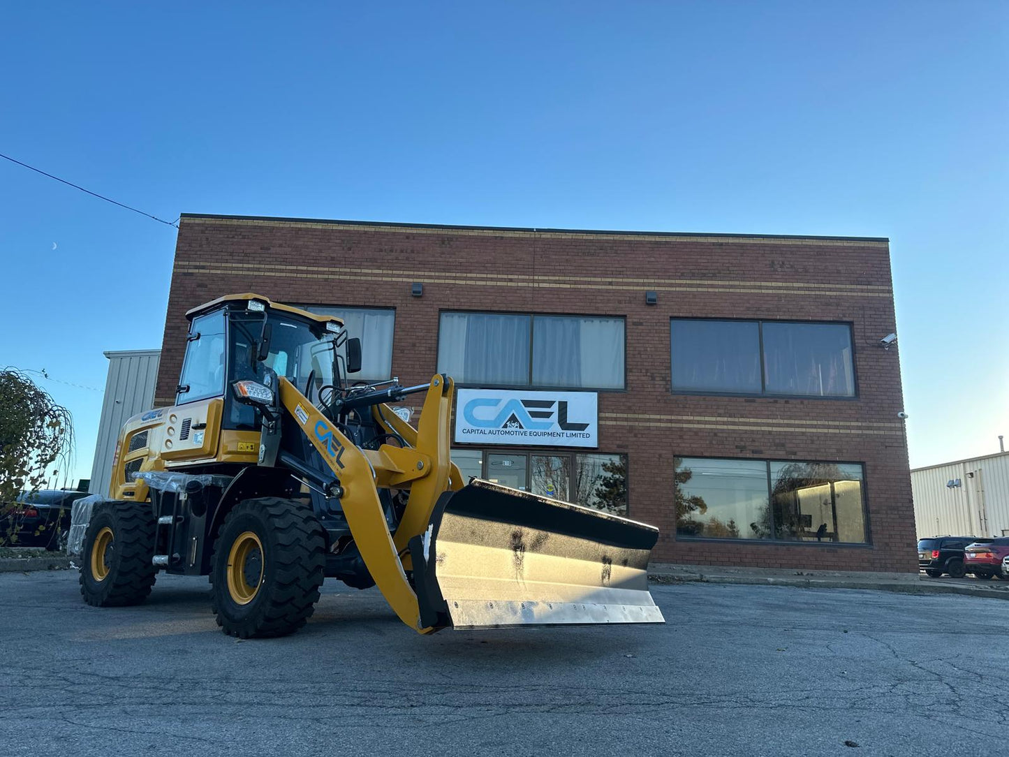 Mini Wheel loader 4×4 (CAEL910)