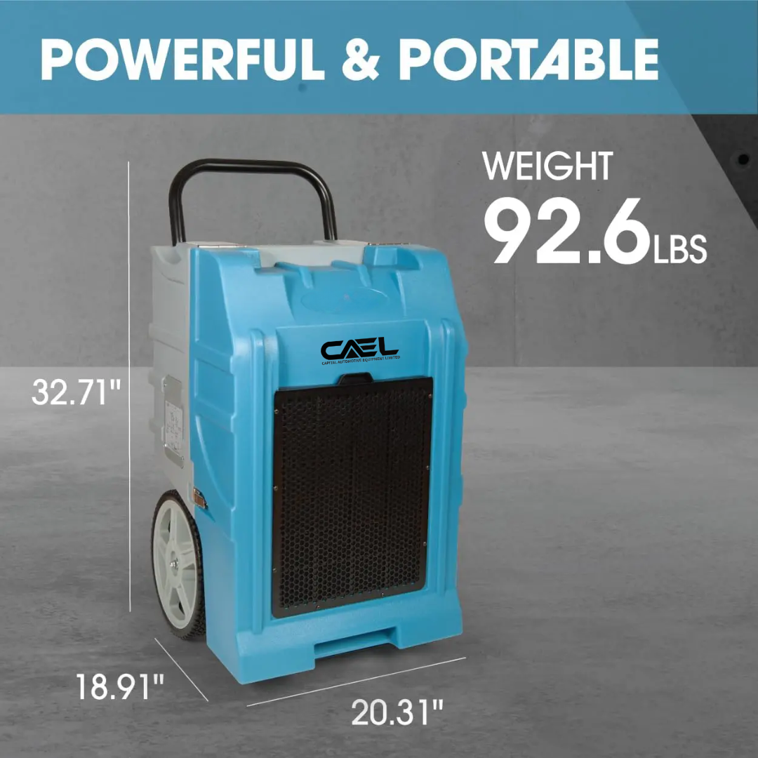 CAEL 18 Bundle Deal