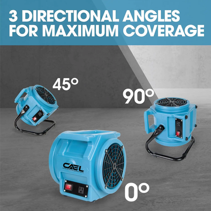 CAEL 12 Bundle Deal