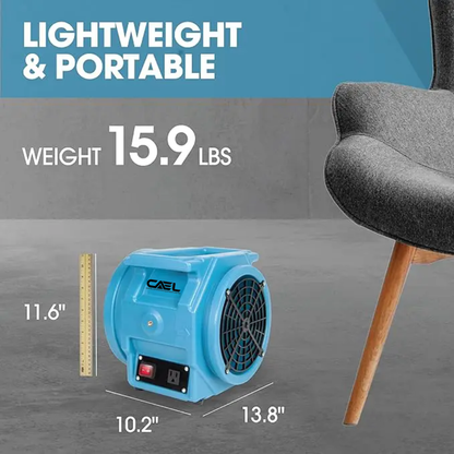 CAEL 6 Bundle Deal