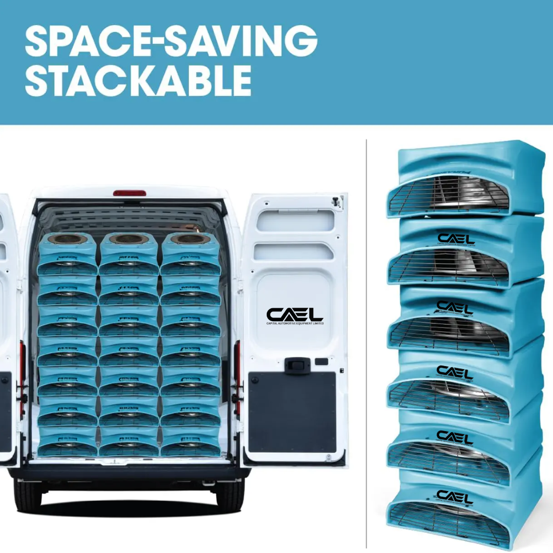 CAEL 18 Bundle Deal