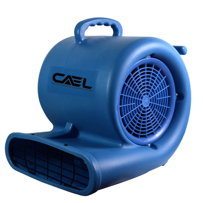 CAEL 21 Bundle Deal