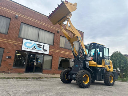 Mini Wheel loader 4×4 (CAEL910)