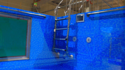 Cael 20 FT & 40 FT Shipping Container Swimming Pools – USA Standard Luxury Pools