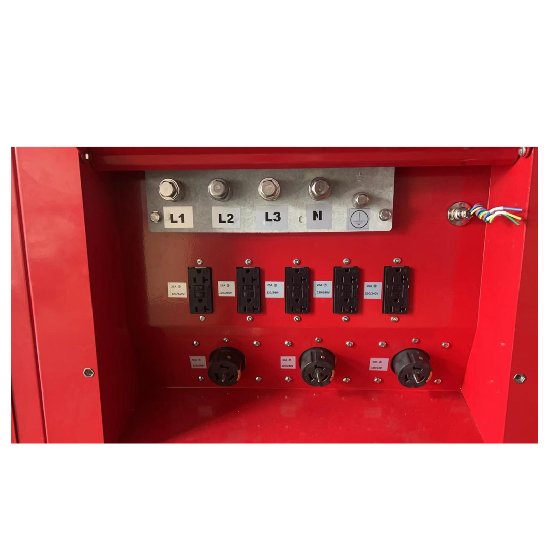80KW Generator Power with Diesel (Perkins) Engine